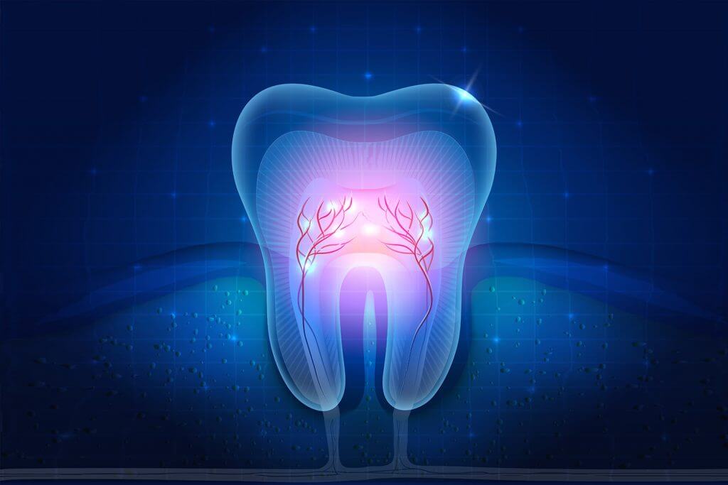 Endodontics: 7 Ways In Which You Can Strengthen Your Dental Pulp